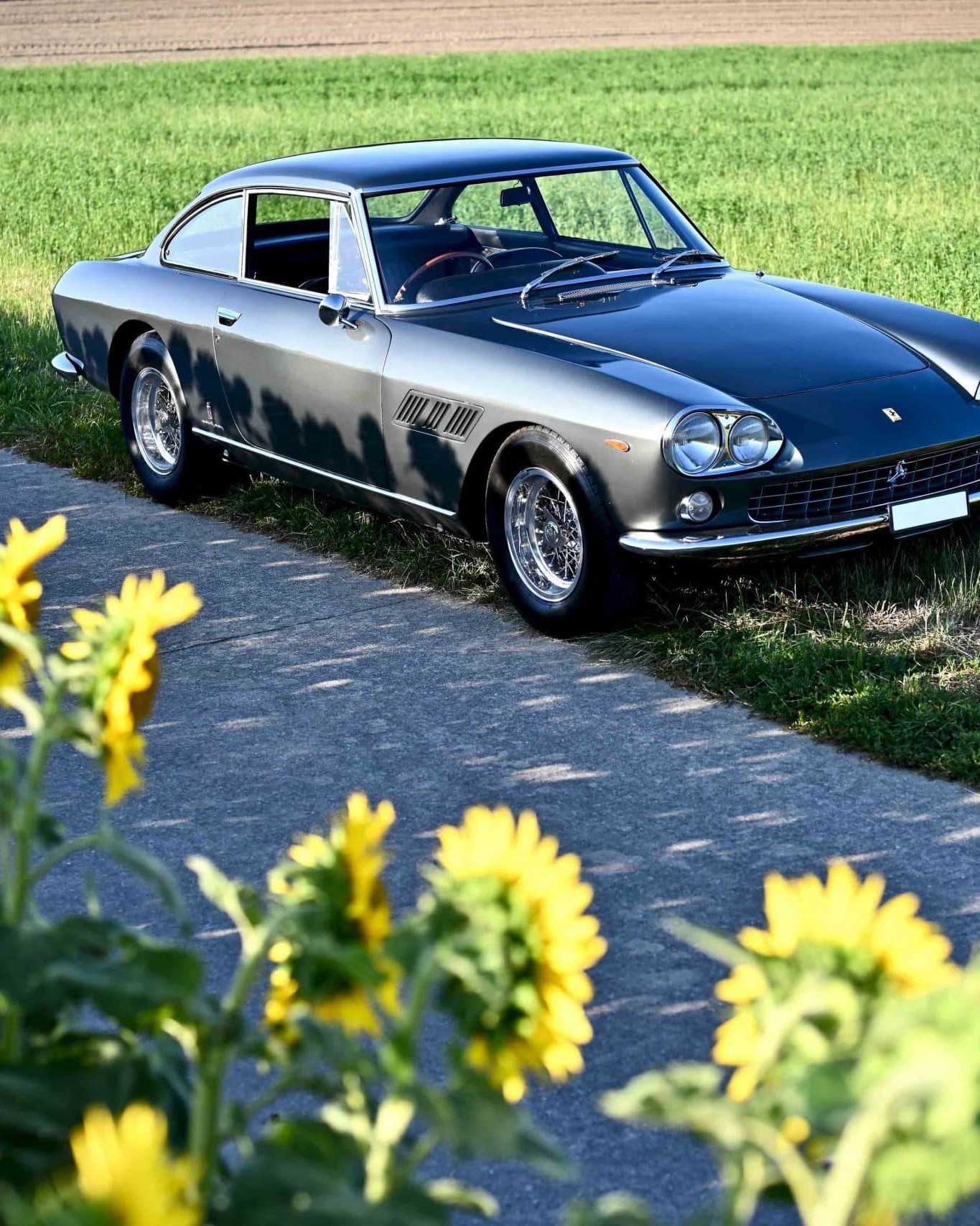 330 GT 29 Ferrari 330 GT 6135 37 scaled e1687861351800 uai