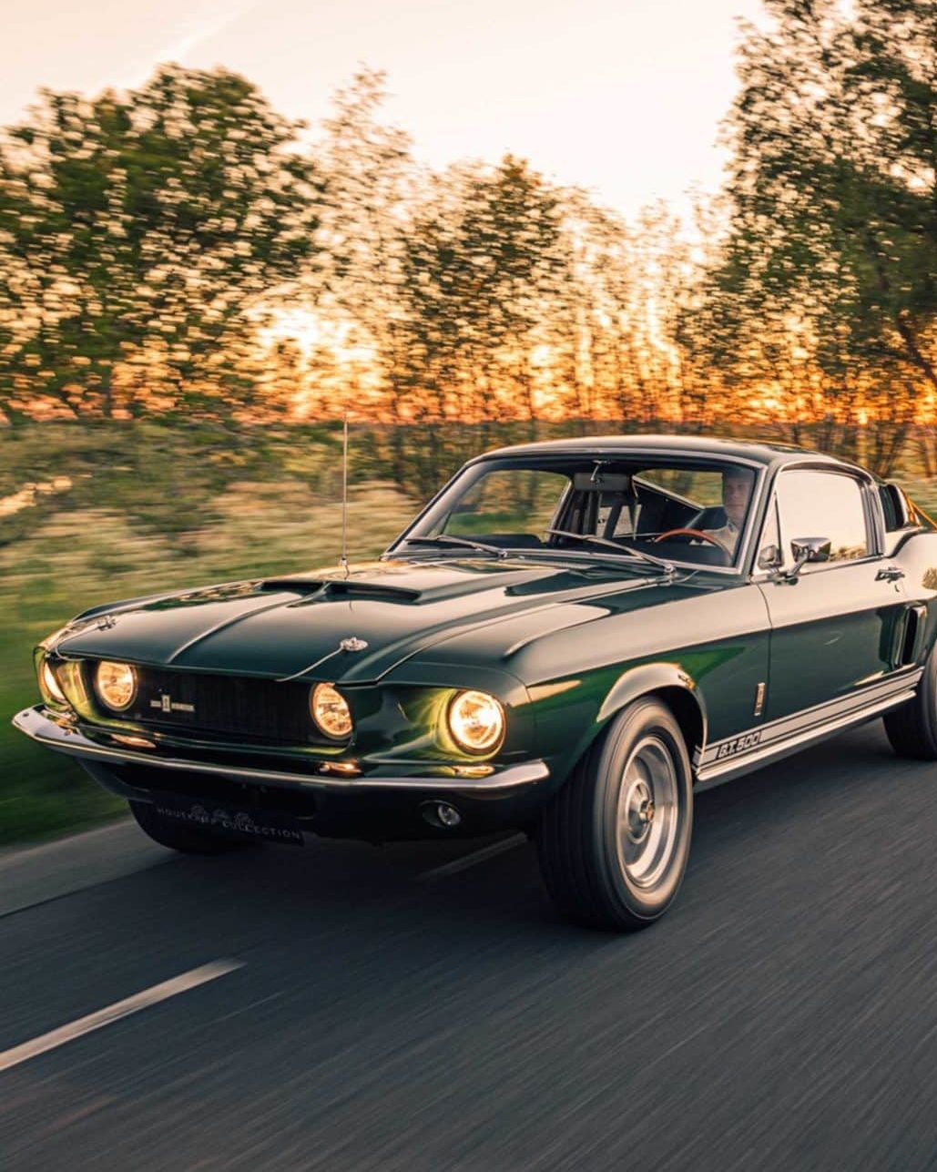 Shelby Mustang GT500 5571 1 scaled e1692103371230 uai