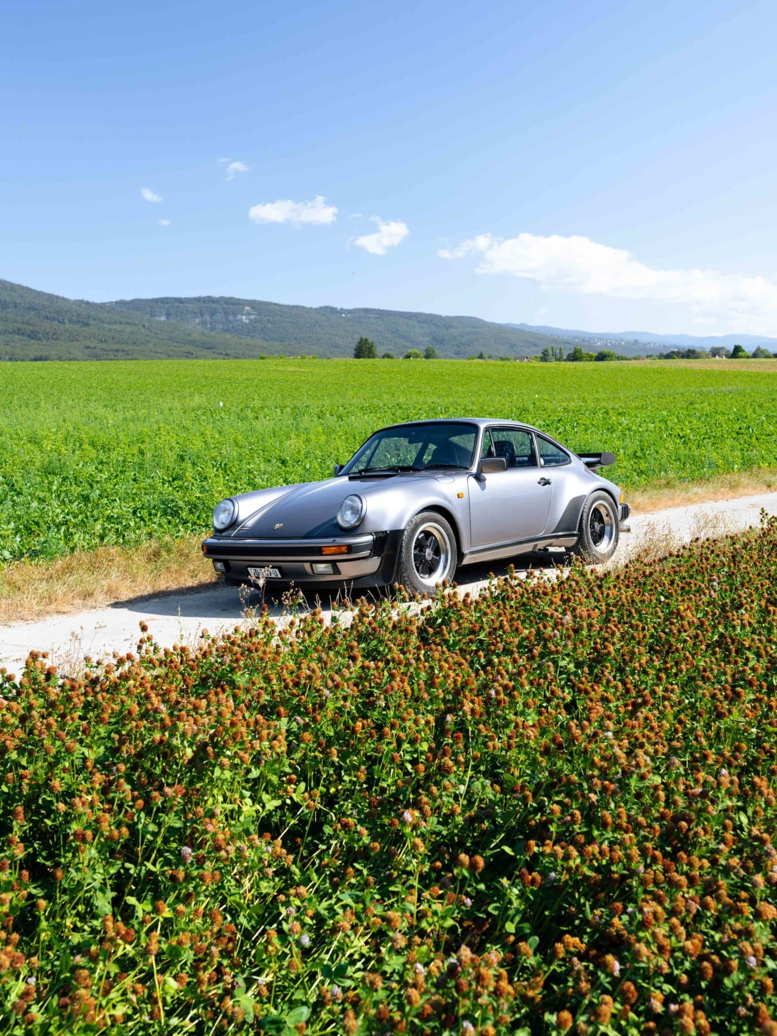 Porsche 911 Turbo 930