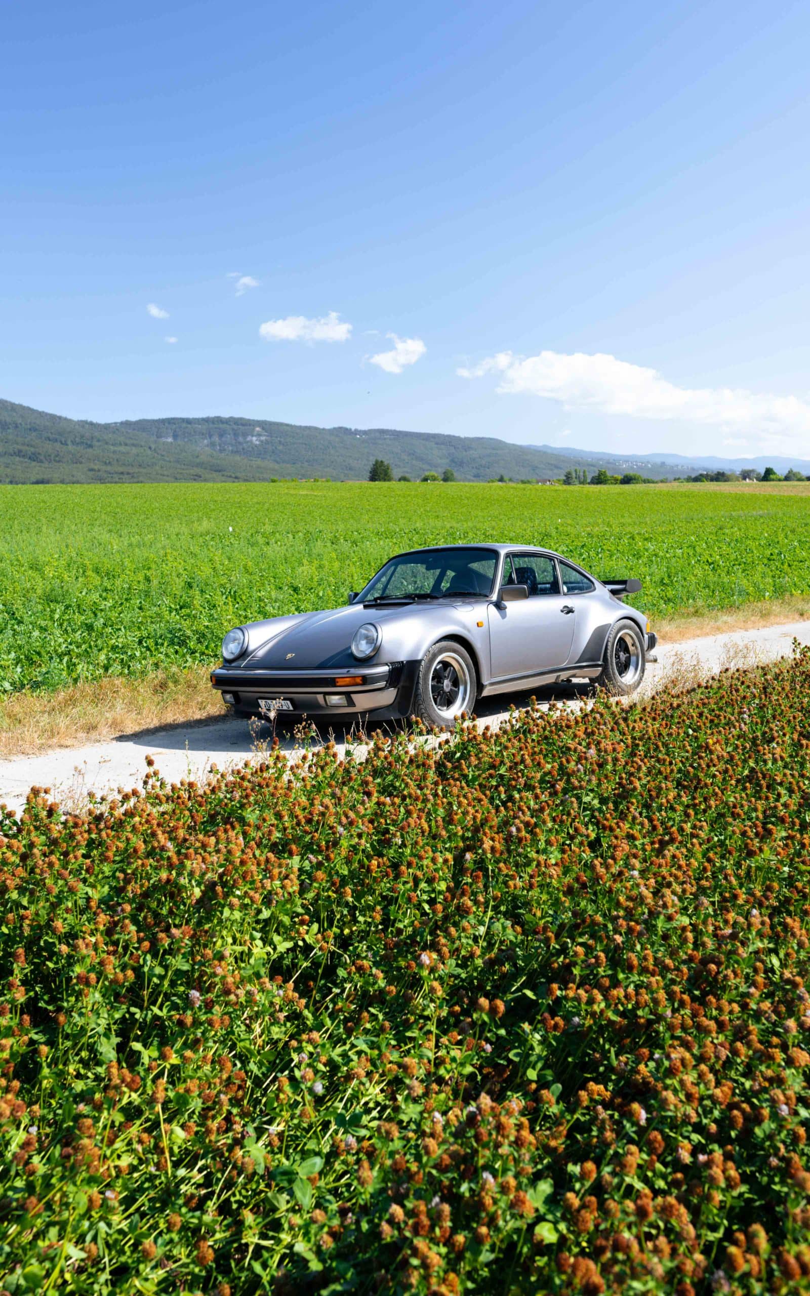 Porsche 911 Turbo 930