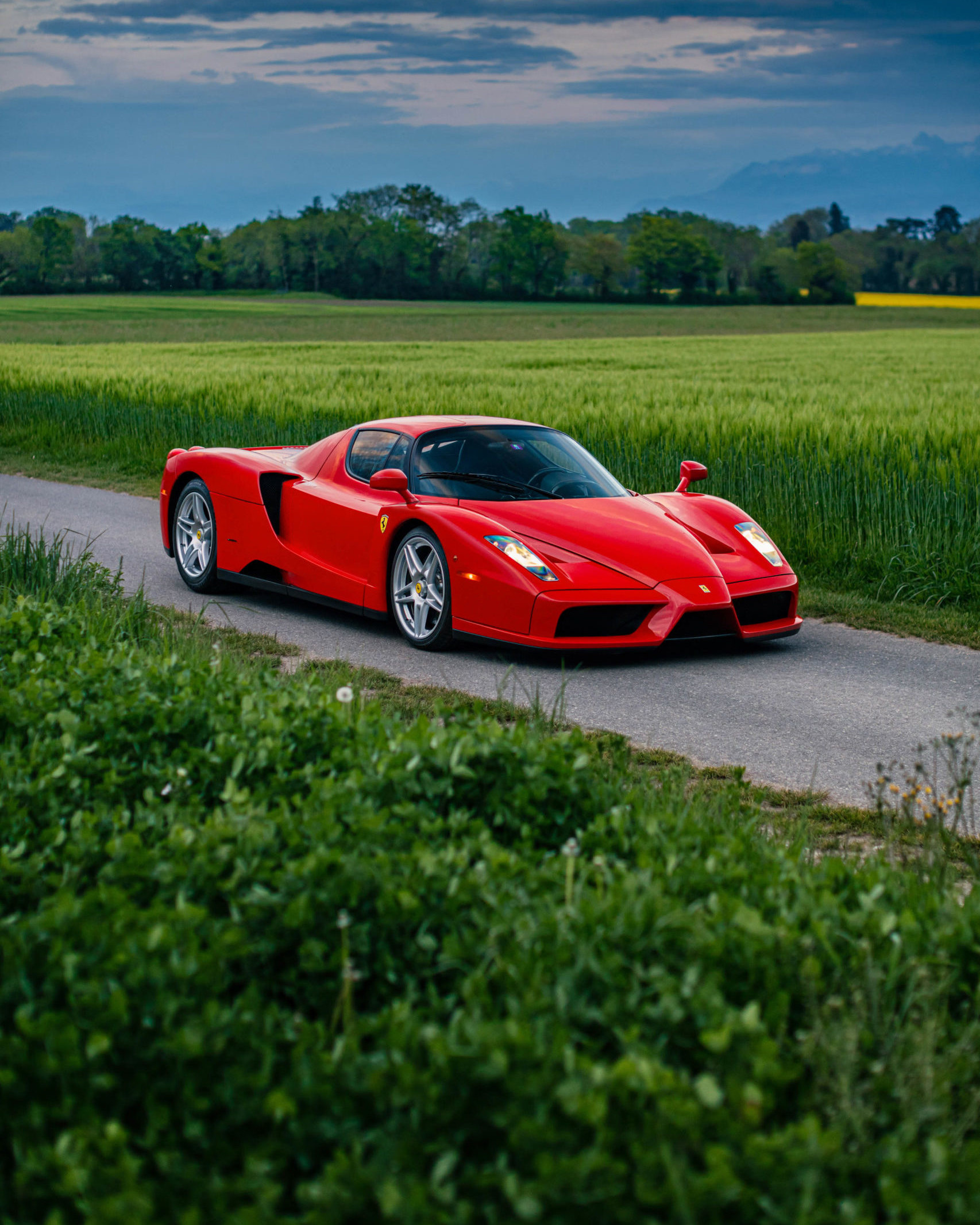 Enzo 38 Ferrari Enzo