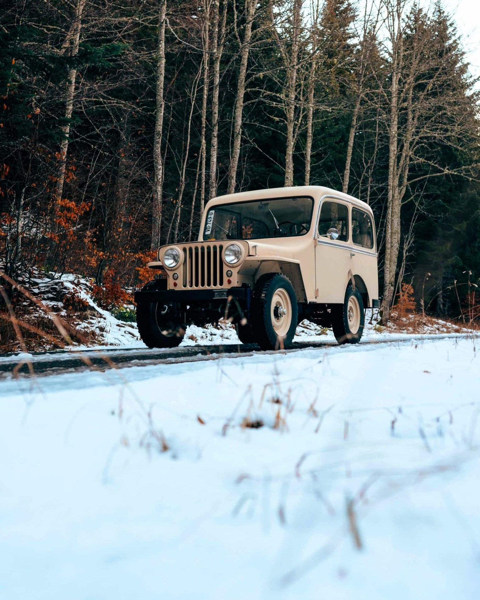 Jeep Willys 2 sur 136 2 scaled e1696848999870 uai