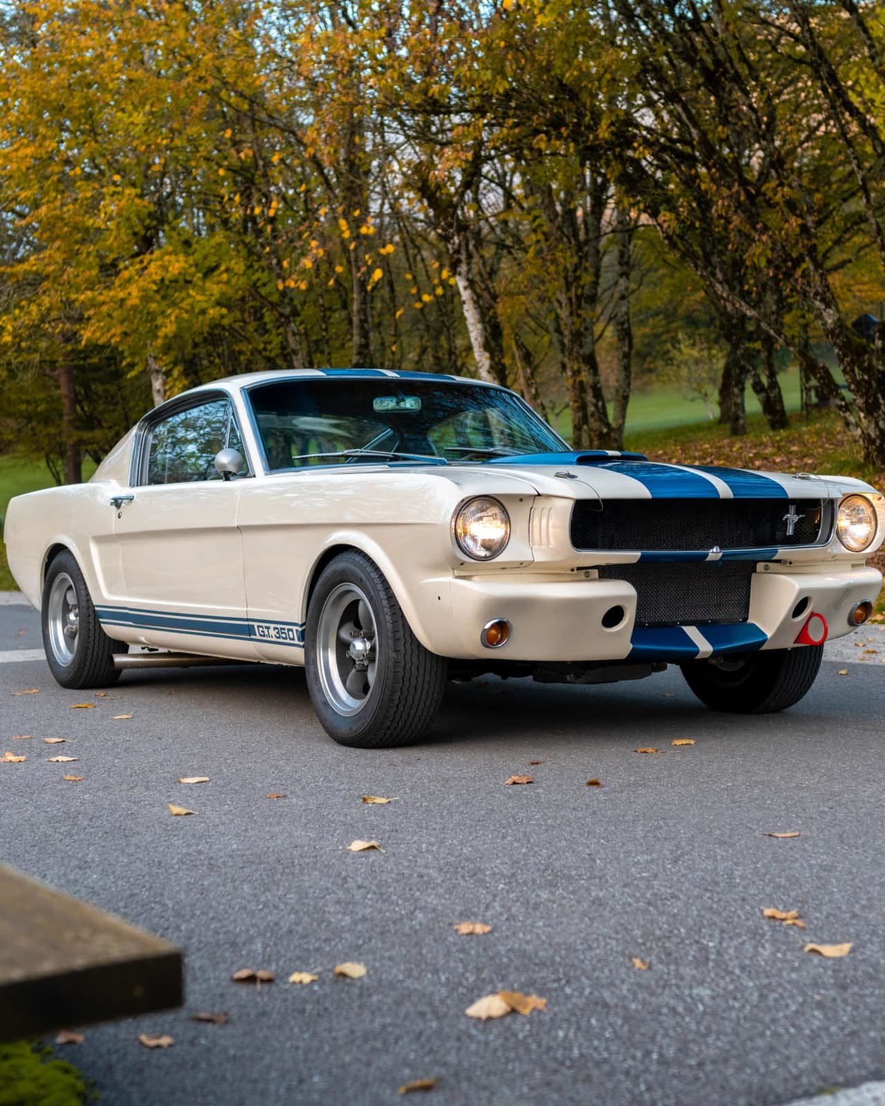 1965 Ford Mustang GT 350 SFM5S358 11 sur 122 2 scaled uai
