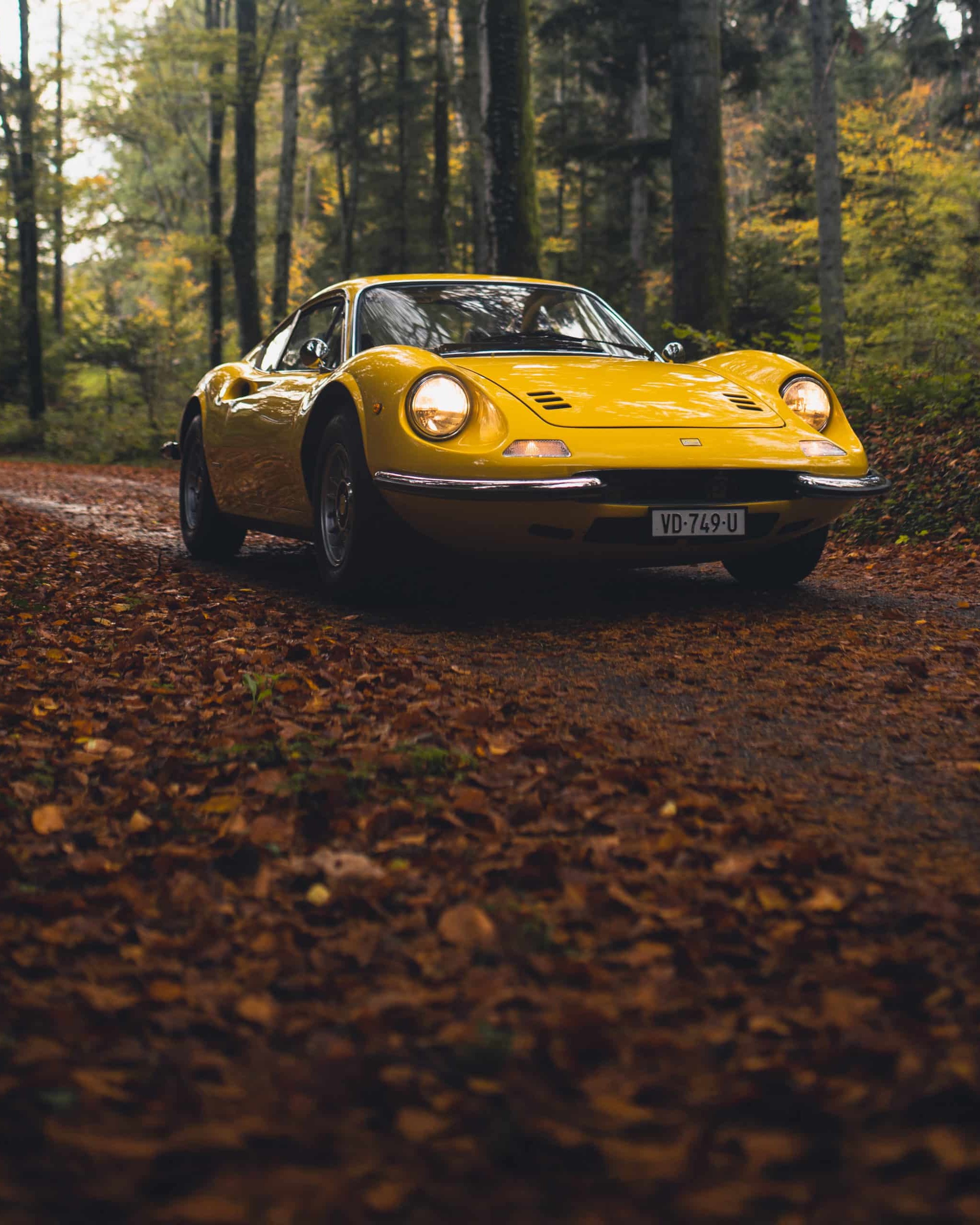 Ferrari Dino 246 GT 02014 - 8