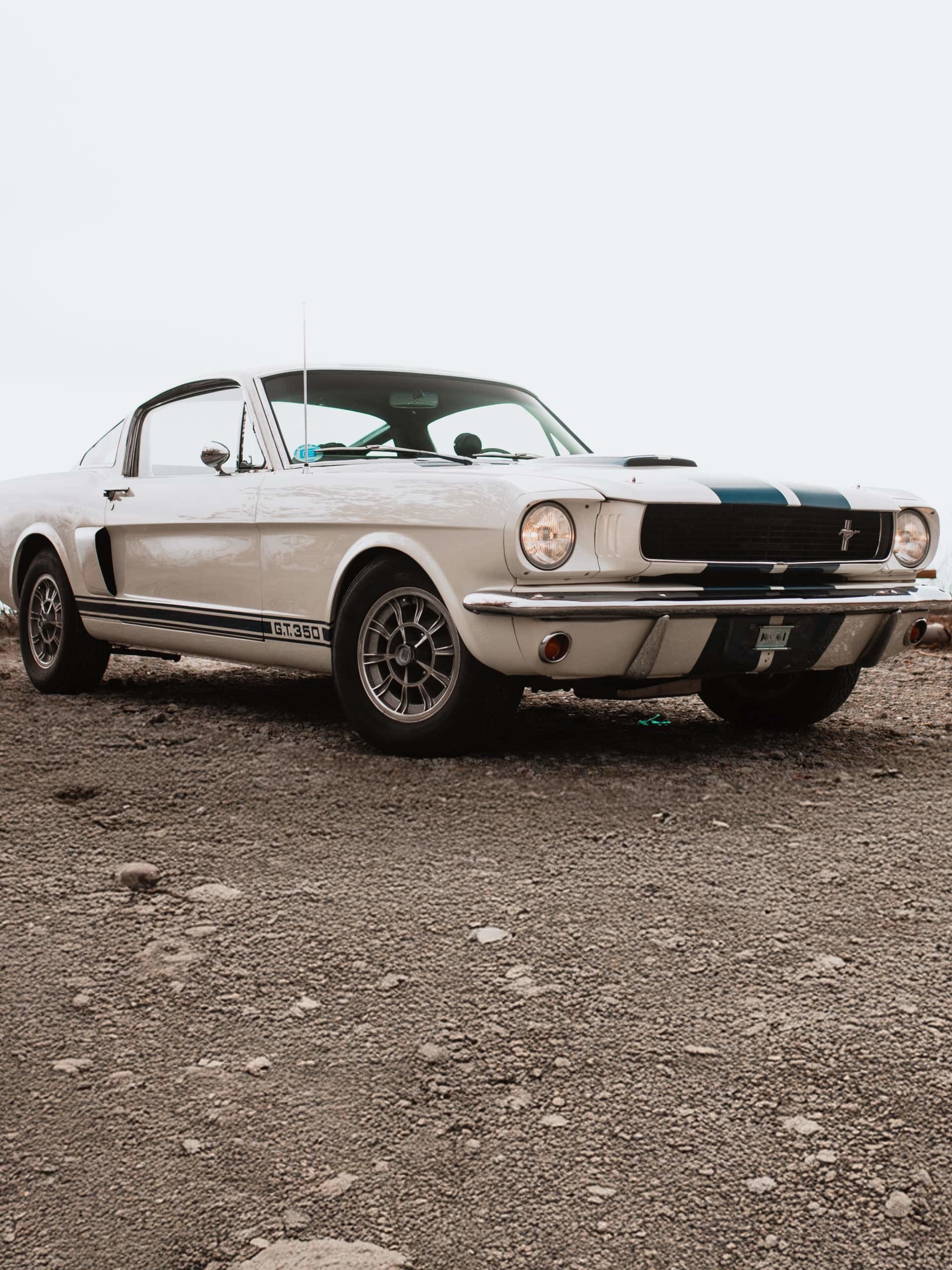Ford Mustang Shelby GT350 SFM6S2042 - 84