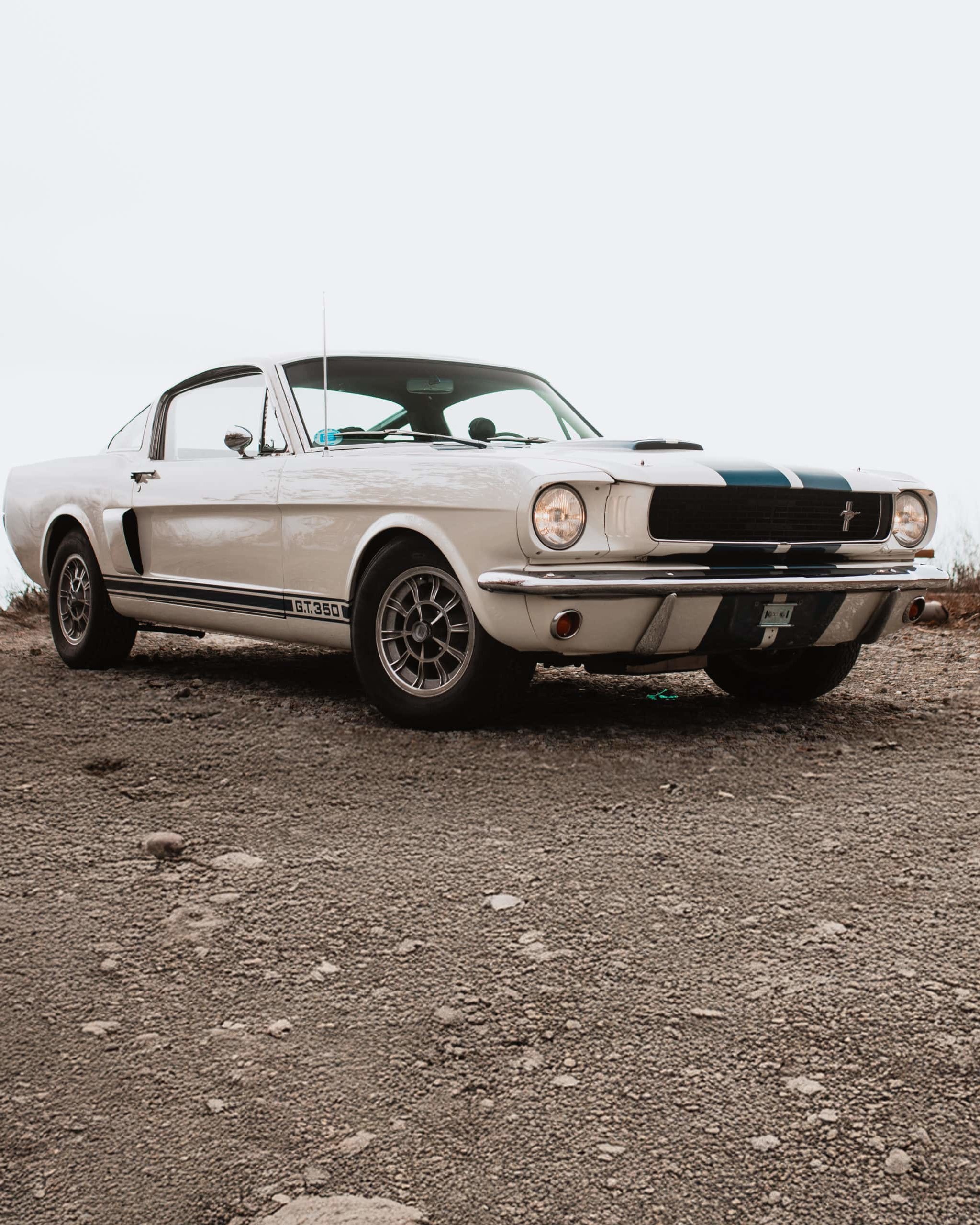 Shelby GT 350 39 Ford Mustang Shelby GT350 SFM6S2042 - 84