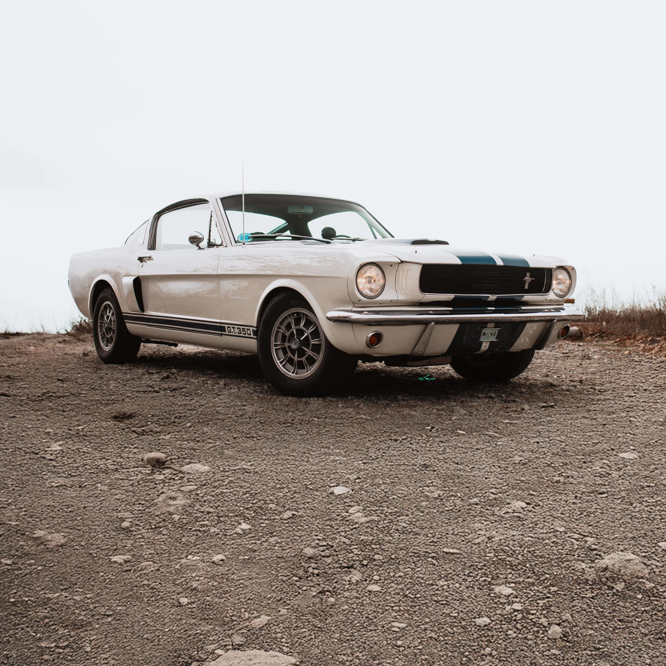 Ford Mustang Shelby GT350 SFM6S2042 - 84