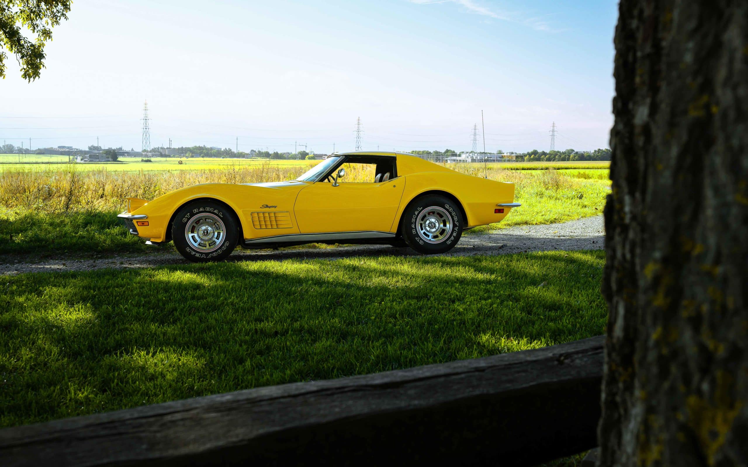 1970 Chevrolet Corvette C3 LT1 194370S403026 - 138 sur 155 13 1970 Chevrolet Corvette C3 LT1 194370S403026 138 sur 155 scaled