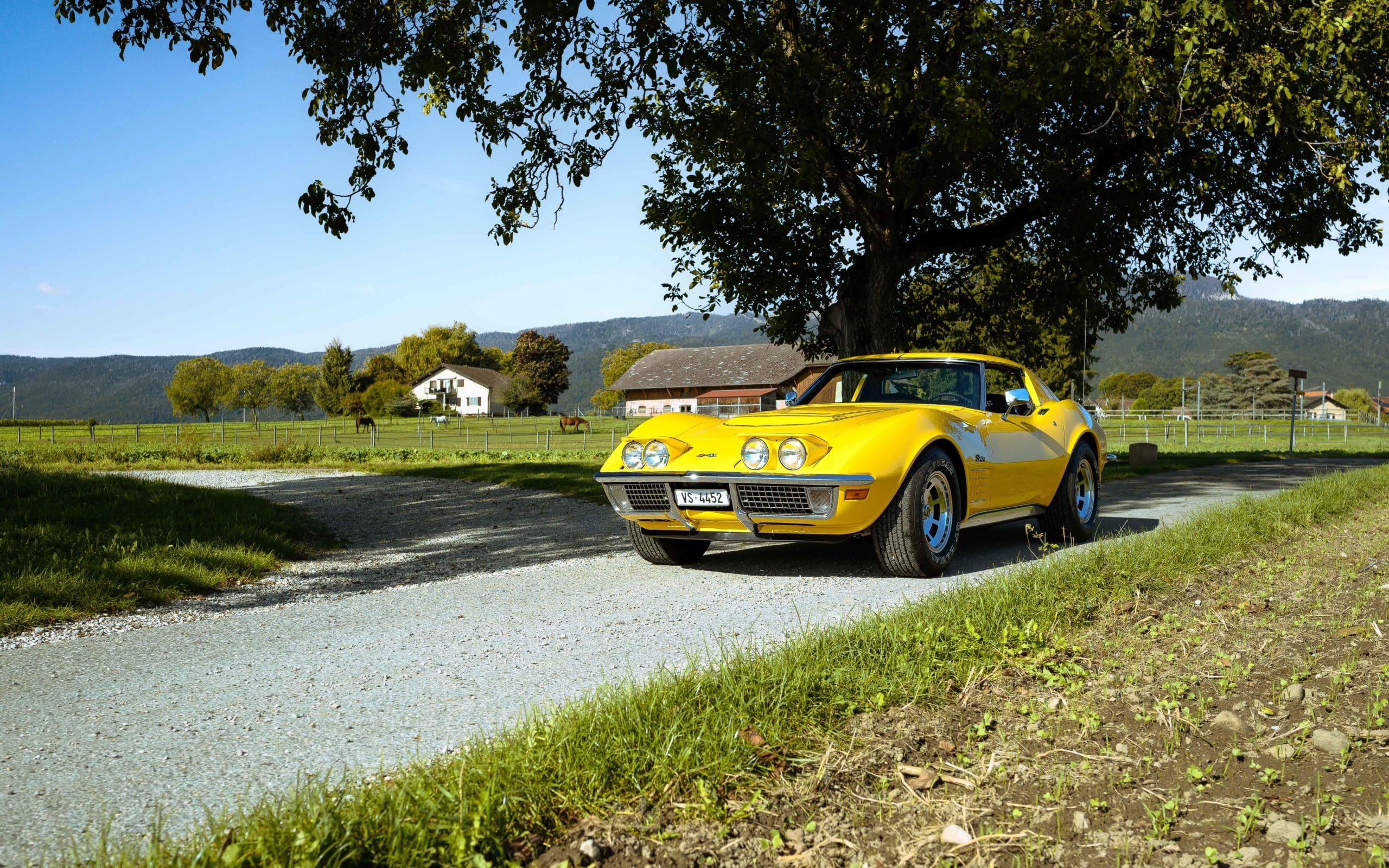 1970 Chevrolet Corvette C3 LT1 194370S403026 - 142 sur 155 11 1970 Chevrolet Corvette C3 LT1 194370S403026 142 sur 155 scaled