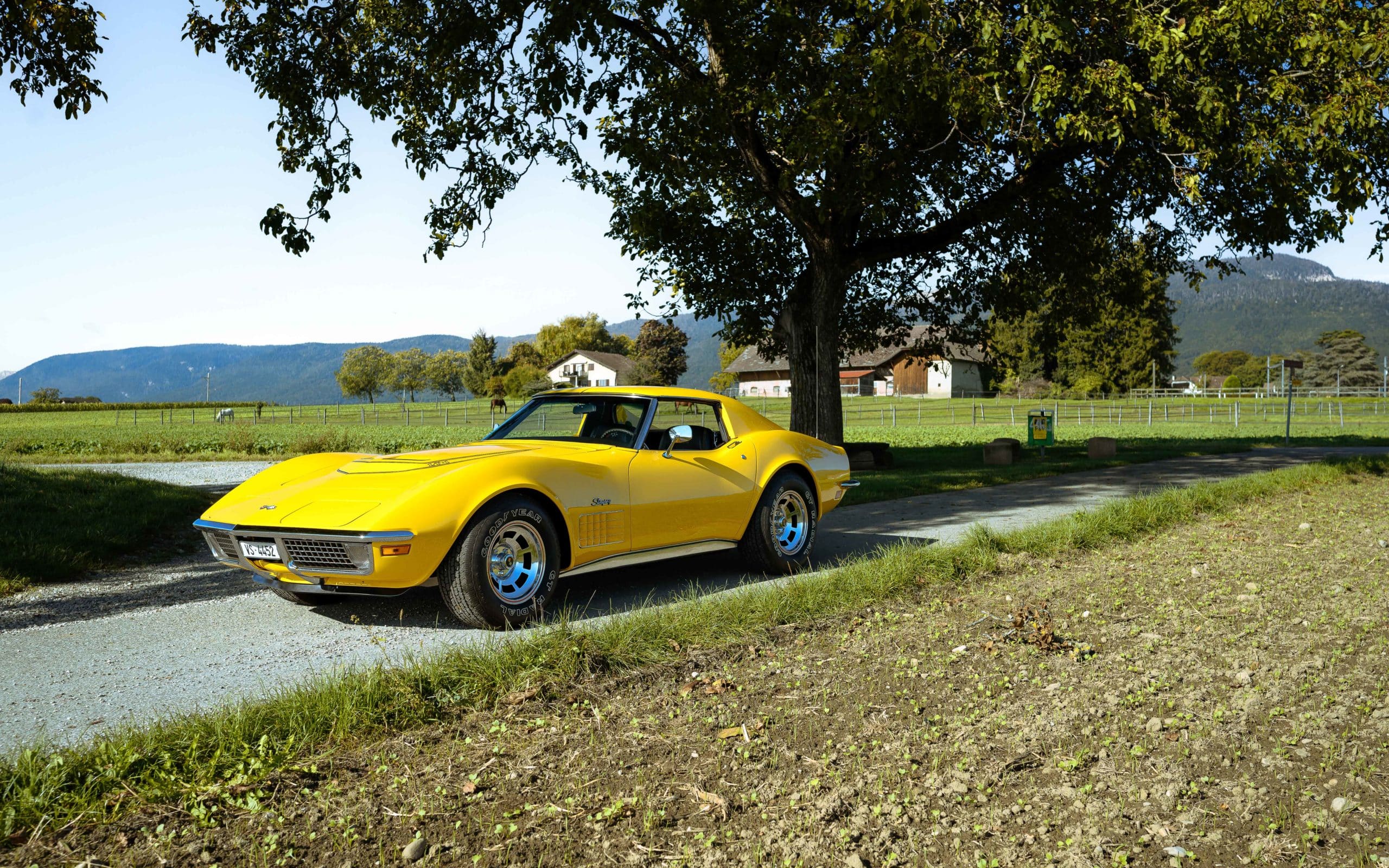 1970 Chevrolet Corvette C3 LT1 194370S403026 - 145 sur 155 9 1970 Chevrolet Corvette C3 LT1 194370S403026 145 sur 155 scaled