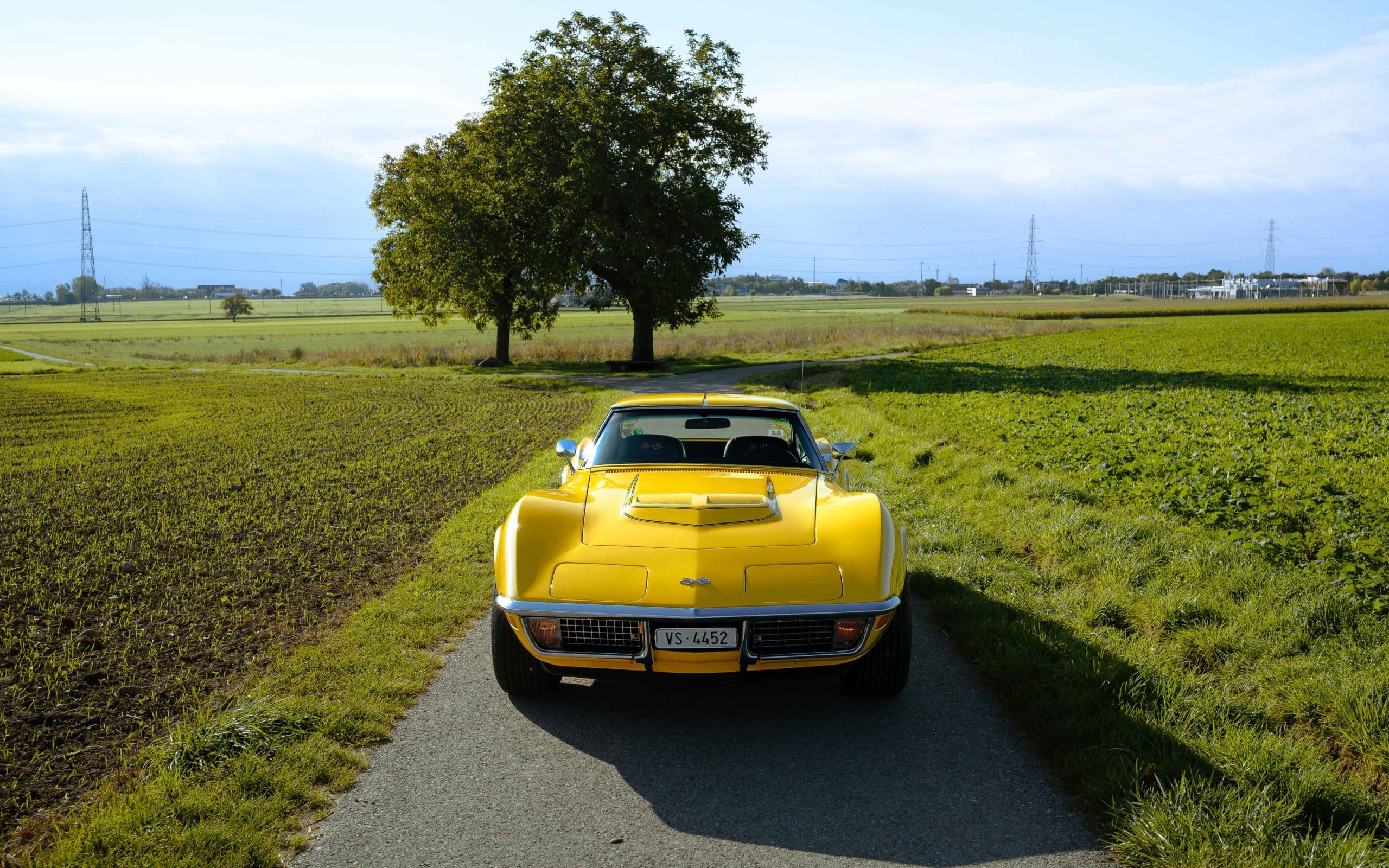 1970 Chevrolet Corvette C3 LT1 194370S403026 - 24 sur 155 108 1970 Chevrolet Corvette C3 LT1 194370S403026 24 sur 155 scaled