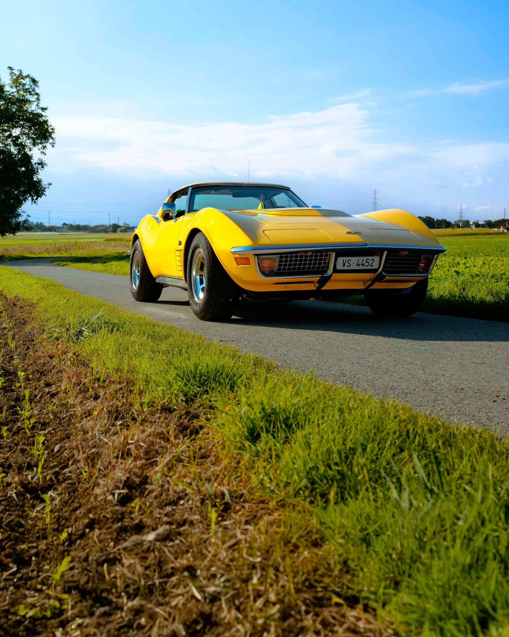 Corvette C3 LT1