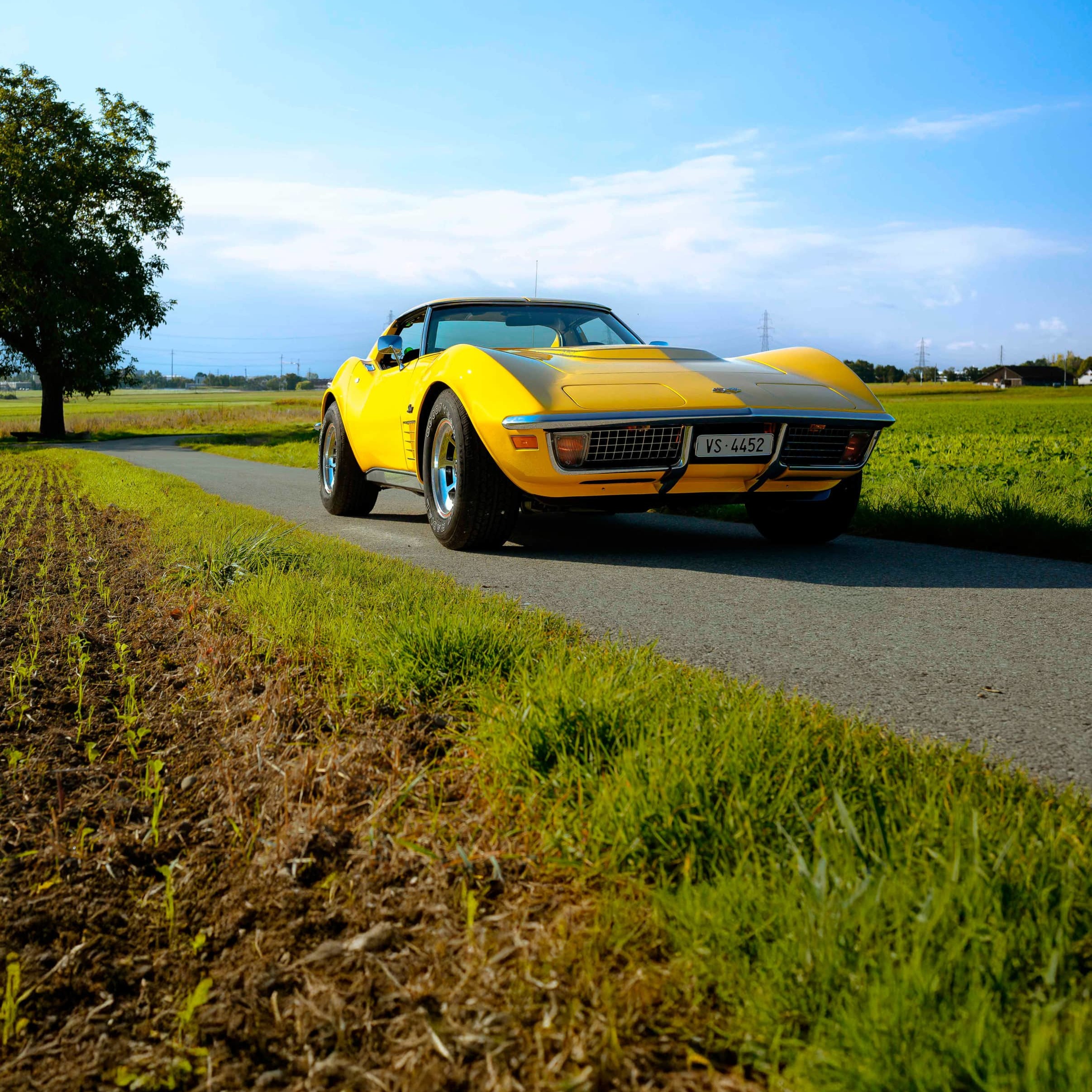 Corvette C3 LT1