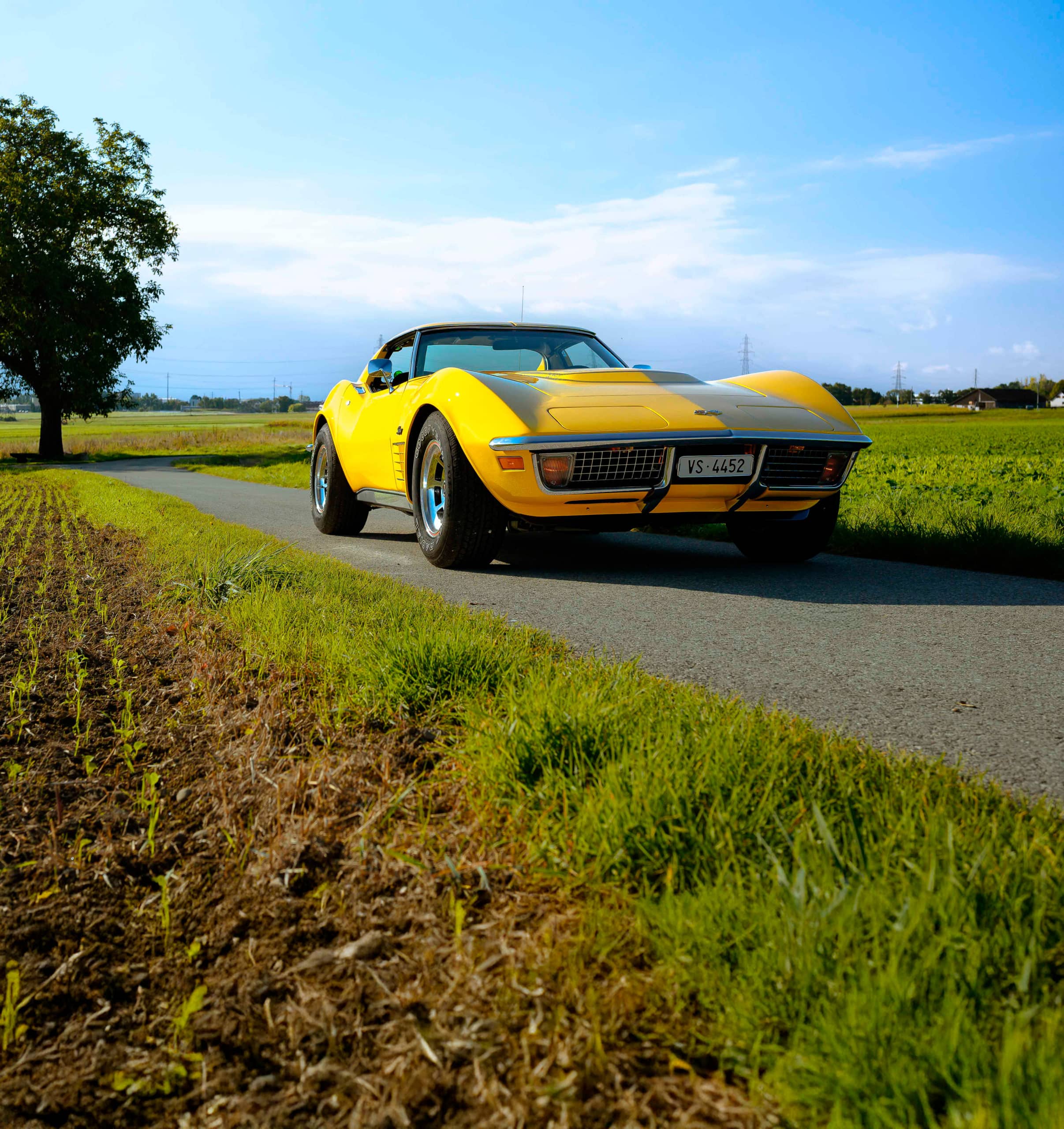 Corvette C3 LT1
