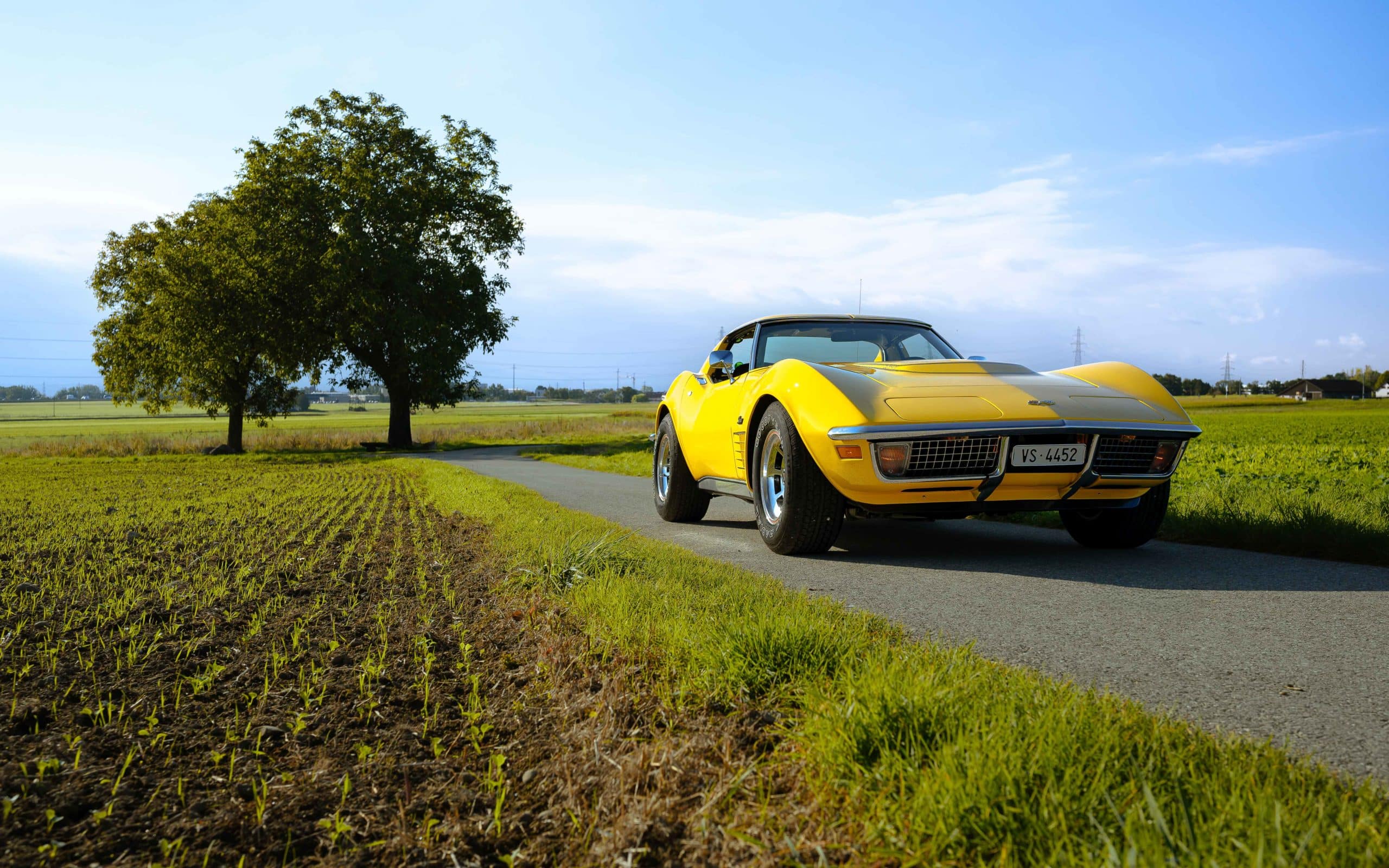 1970 Chevrolet Corvette C3 LT1 194370S403026 - 27 sur 155 106 1970 Chevrolet Corvette C3 LT1 194370S403026