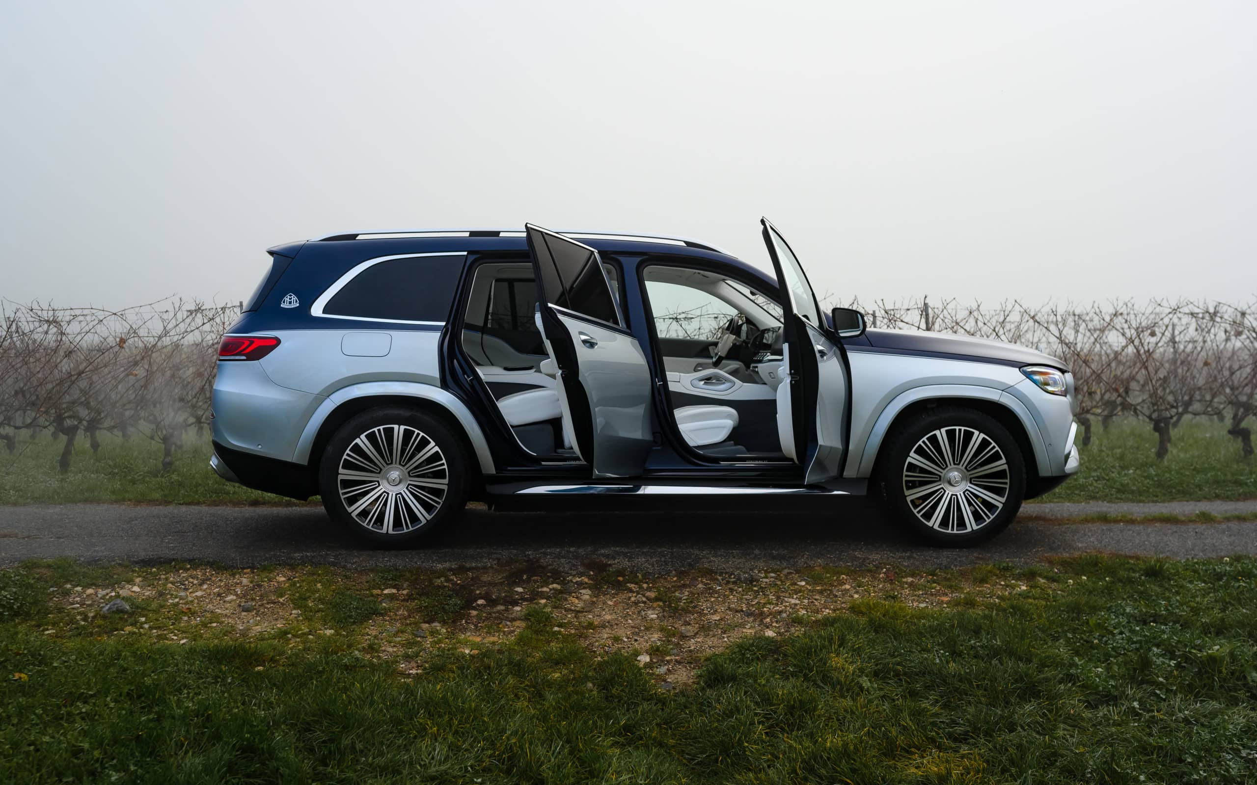 2022 Mercedes Maybach GLS 600 W1N1679871A675893 - 151 sur 210 19 2022 Mercedes Maybach GLS 600 W1N1679871A675893 151 sur 210 scaled