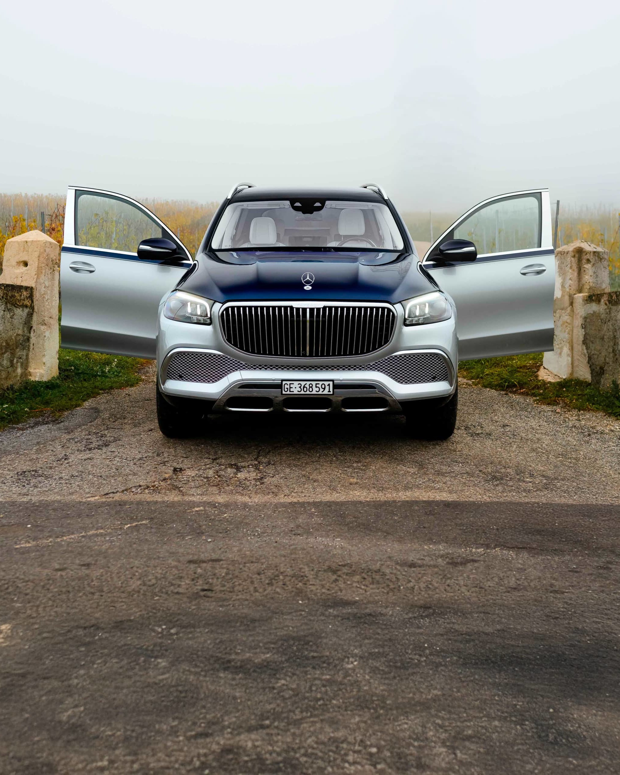 GLS 600 Maybach 30 GLS 600 Maybach