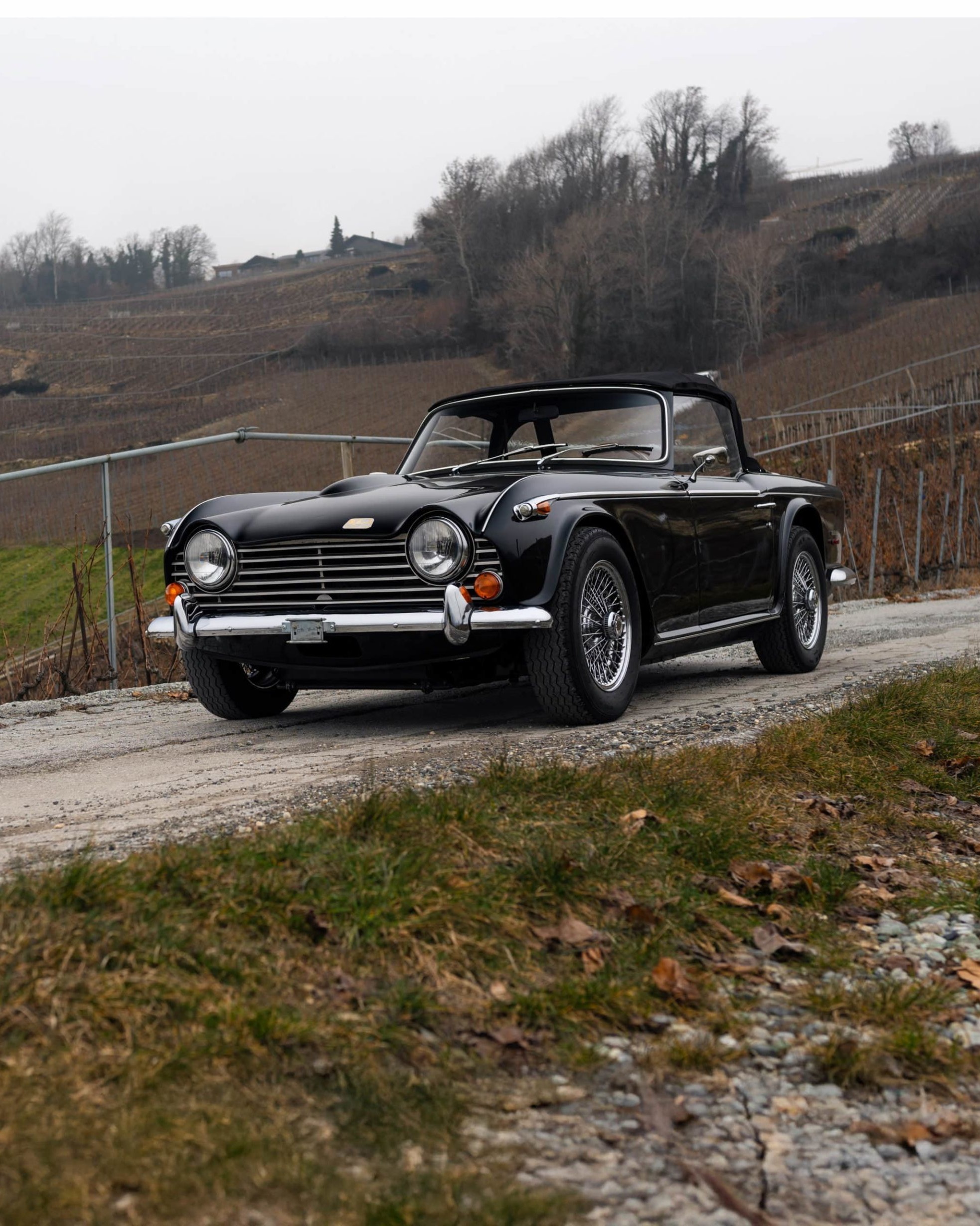 TR250 35 1968 Triumph TR 250 CD6960L 2 sur 84 scaled uai