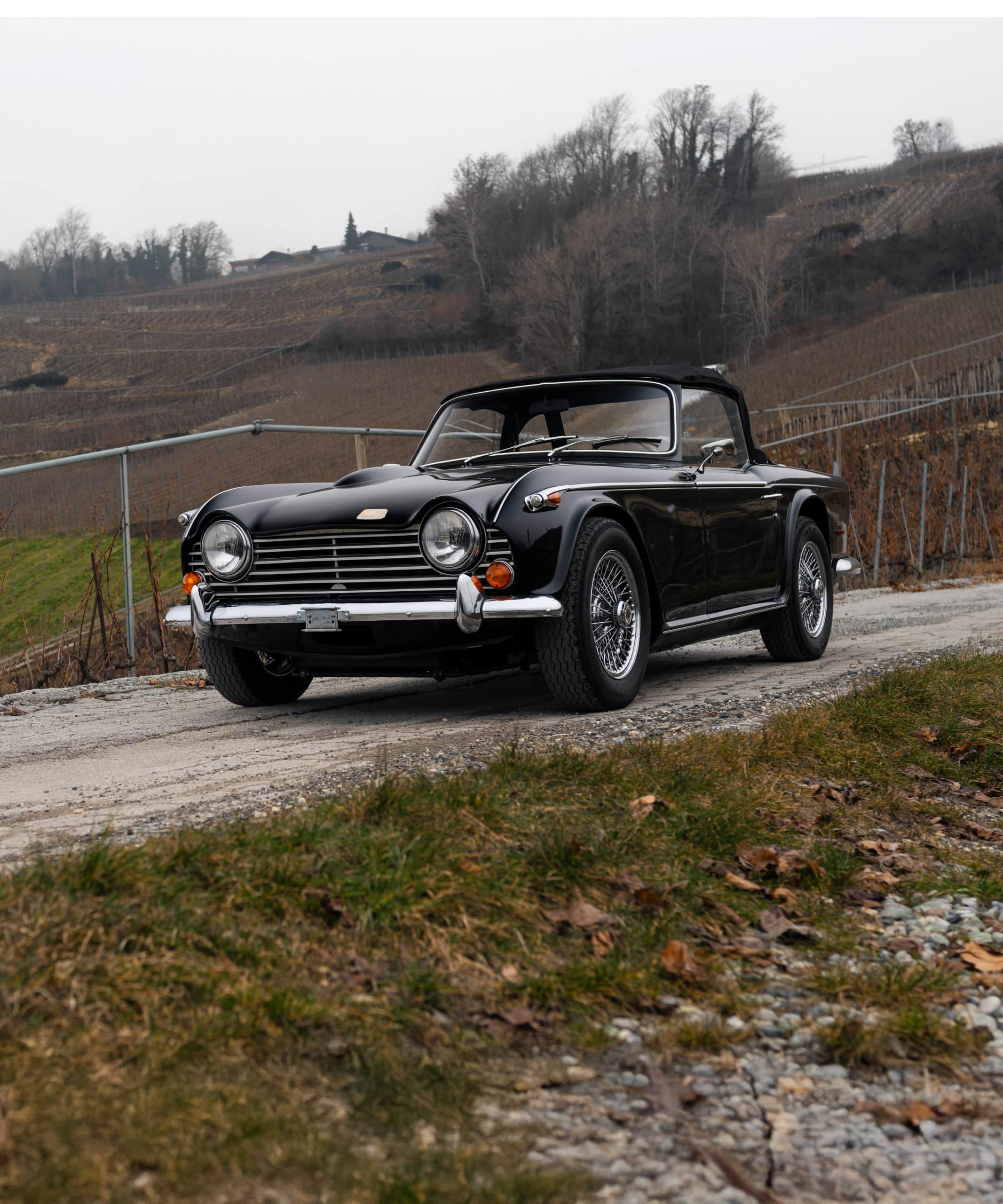 TR250
