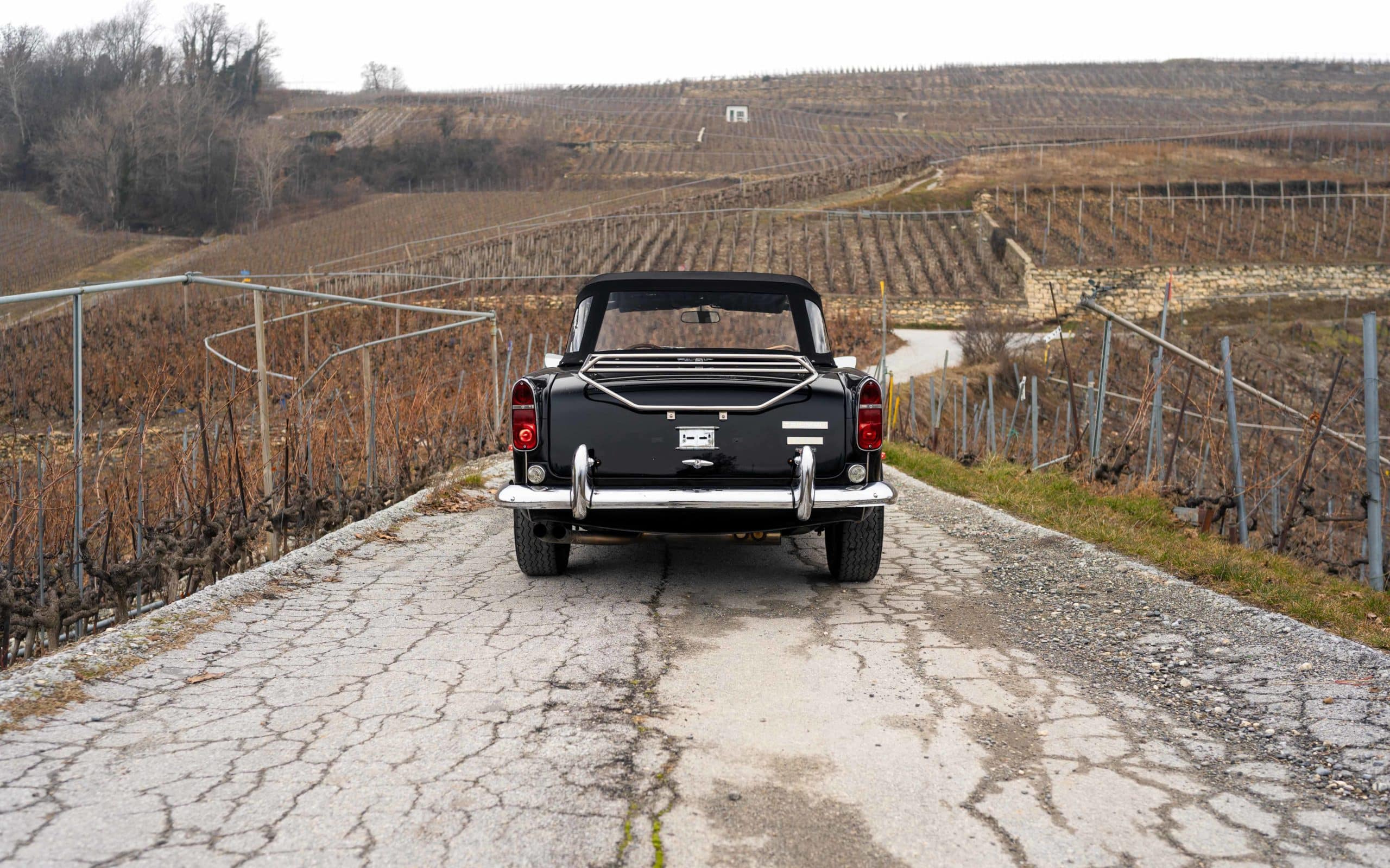 Triumph TR250 CD6960L - 12 2 Triumph TR250 CD6960L 12 scaled