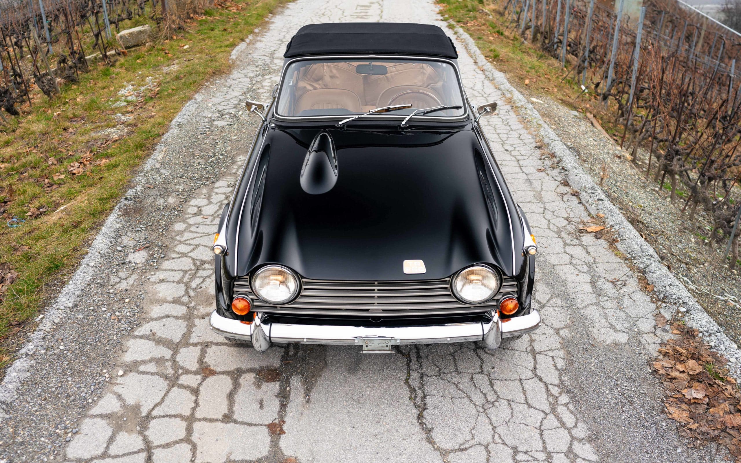 Triumph TR250 CD6960L - 30 49 Triumph TR250 CD6960L 30 scaled