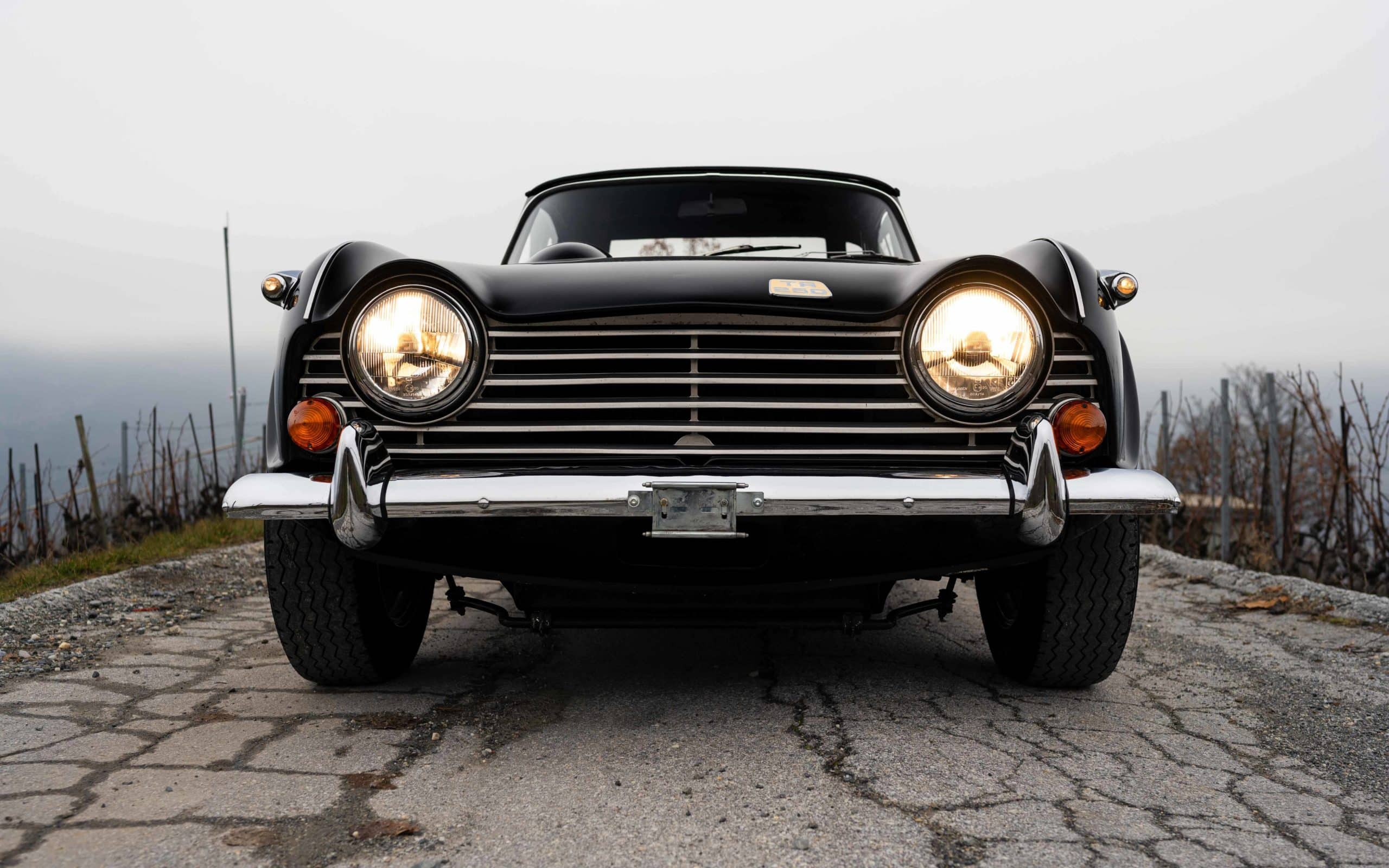 Triumph TR250 CD6960L - 31 1 Triumph TR250 CD6960L 31 scaled