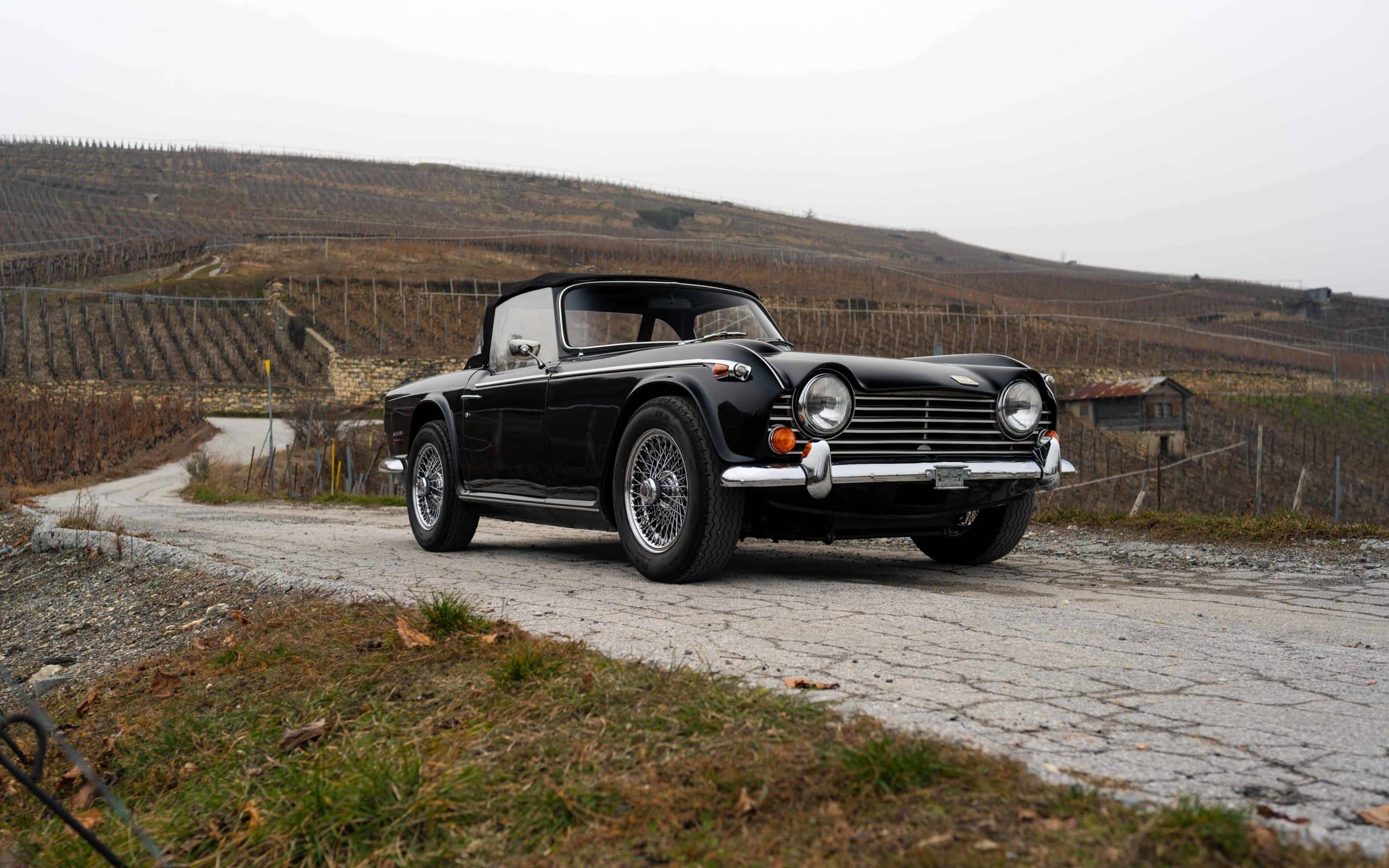 Triumph TR250 CD6960L - 4 72 Triumph TR250 CD6960L 4 scaled