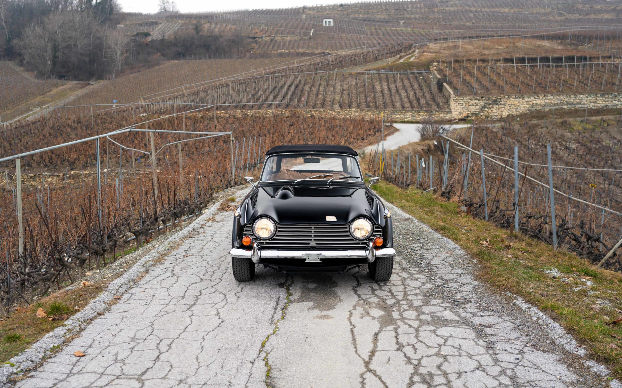 Triumph TR250 CD6960L - 7 70 Triumph TR250 CD6960L 7 scaled