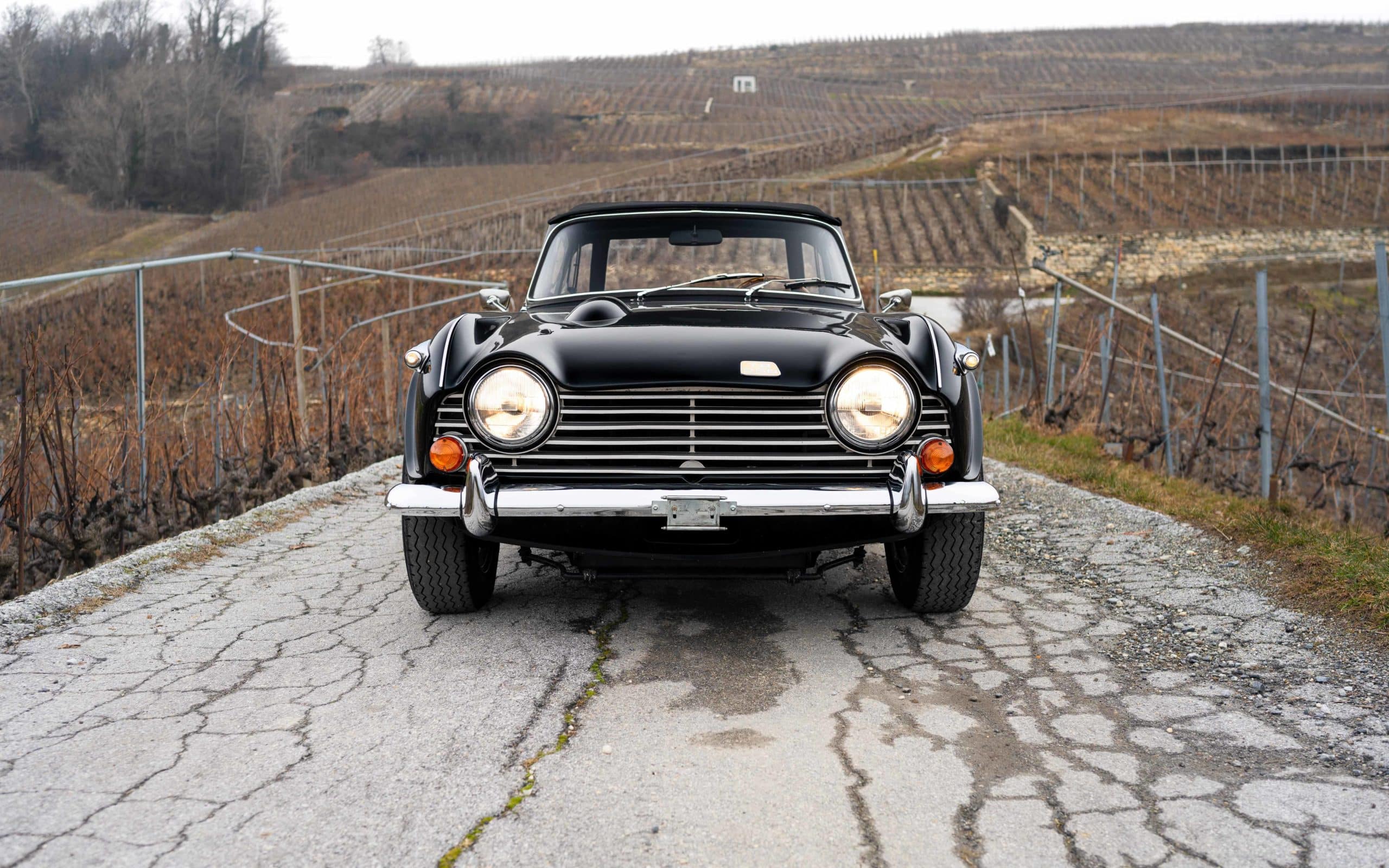 Triumph TR250 CD6960L - 8 69 Triumph TR250 CD6960L 8 scaled